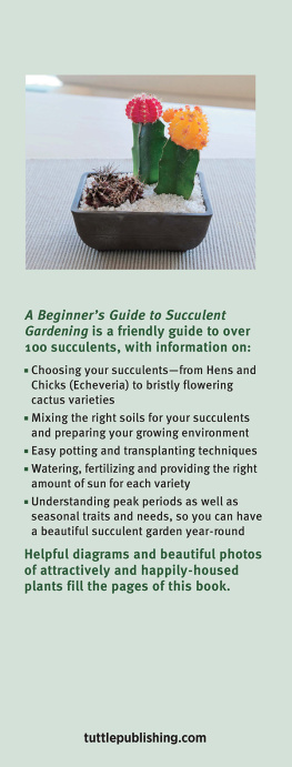 Furuya - A Beginners Guide to Succulent Gardening: a Step-by-Step Guide to Growing Beautiful & Long-Lasting Succulents