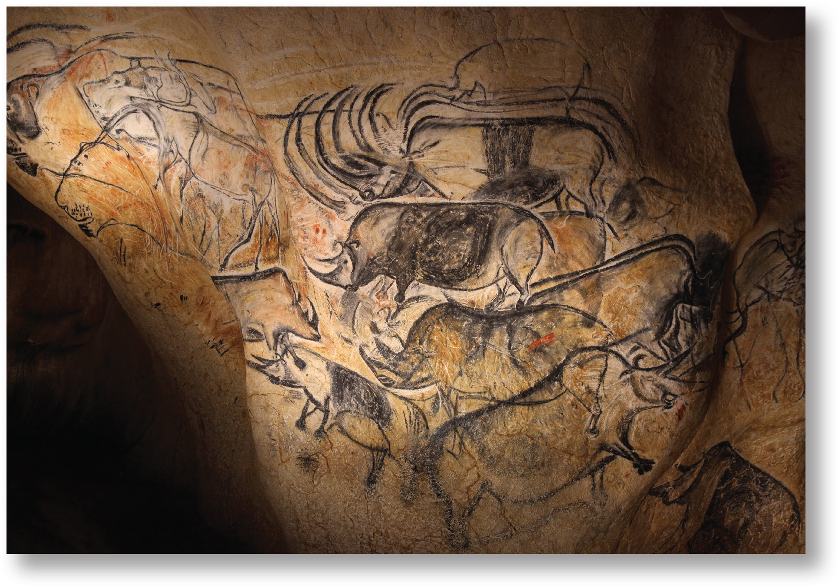 A panel of rhinos painted by early humans on the walls of Chauvet Cave some - photo 3