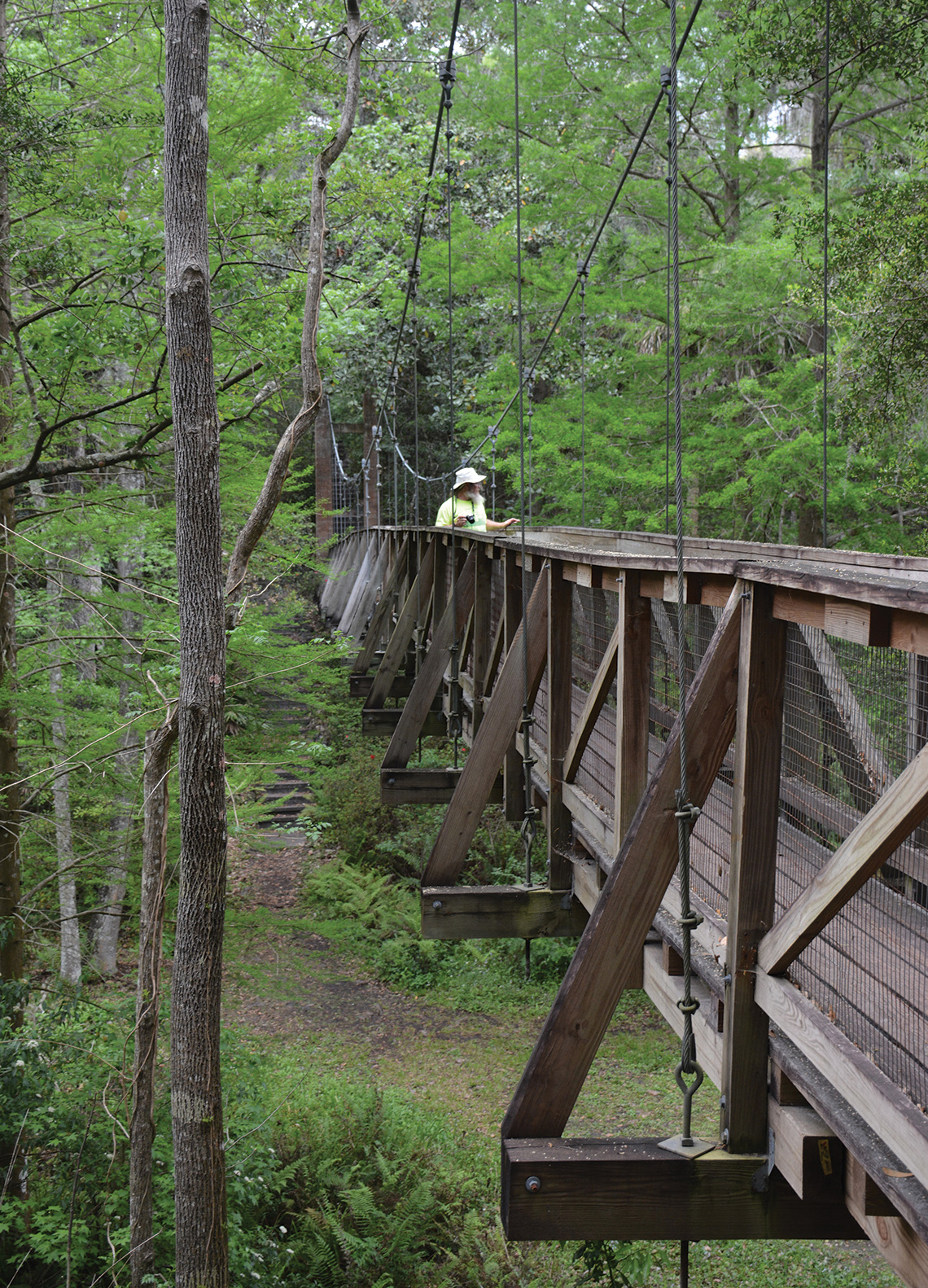 ONE OF TWO SUSPENSION BRIDGES ACROSS THE RAVINE AT RAVINE GARDENS STATE PARK - photo 3