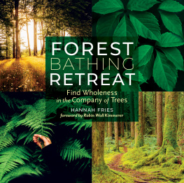 Fries - Forest bathing retreat: find wholeness in the company of trees