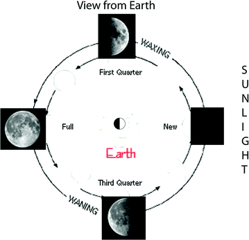 Fig 12 The phases of the Moona modern version The first Greek philosopher - photo 2