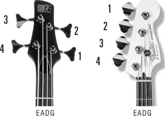 TUNING TO THE AUDIO To tune your bass adjust the tuning pegs Tightening a peg - photo 7