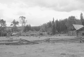 Grazing lands north of Alfie Meadow are dissected by fence rails over a foot in - photo 11