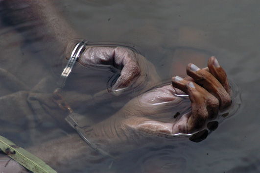 Terror A cartel victim dumped in a Sinaloan canal Fernando Brito Peace - photo 16