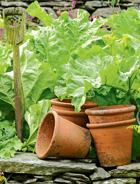 Beatrixs garden at Hill Top with a spade and rhubarb pots Peter Rabbit might - photo 1