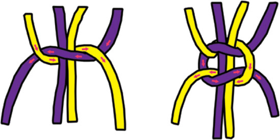 Reef Knot About Metric Throughout this book youll notice that every - photo 11