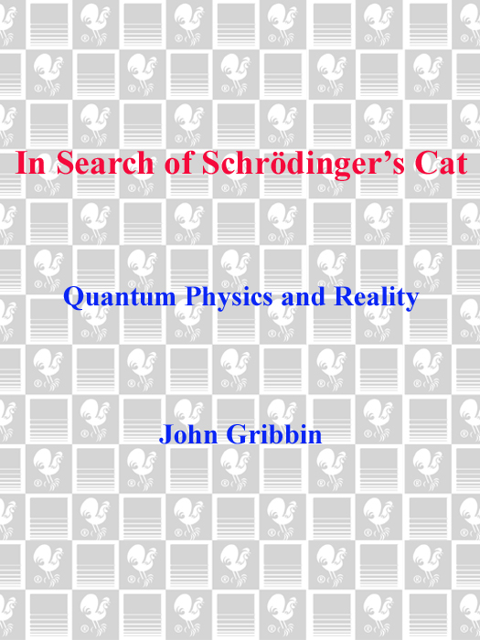 IN SEARCH OF SCHRDINGERS CAT QUANTUM PHYSICS AND REALITY A Bantam Book - photo 1