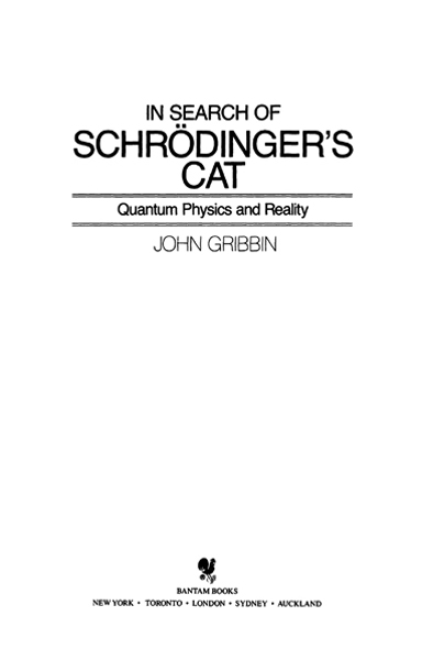 IN SEARCH OF SCHRDINGERS CAT QUANTUM PHYSICS AND REALITY A Bantam Book - photo 2