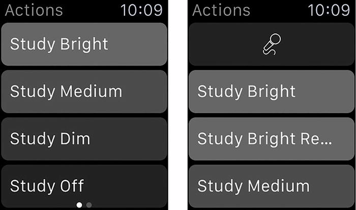 Figure 1-1 The interface of a WatchKit app Glance Interfaces A glance is a - photo 1