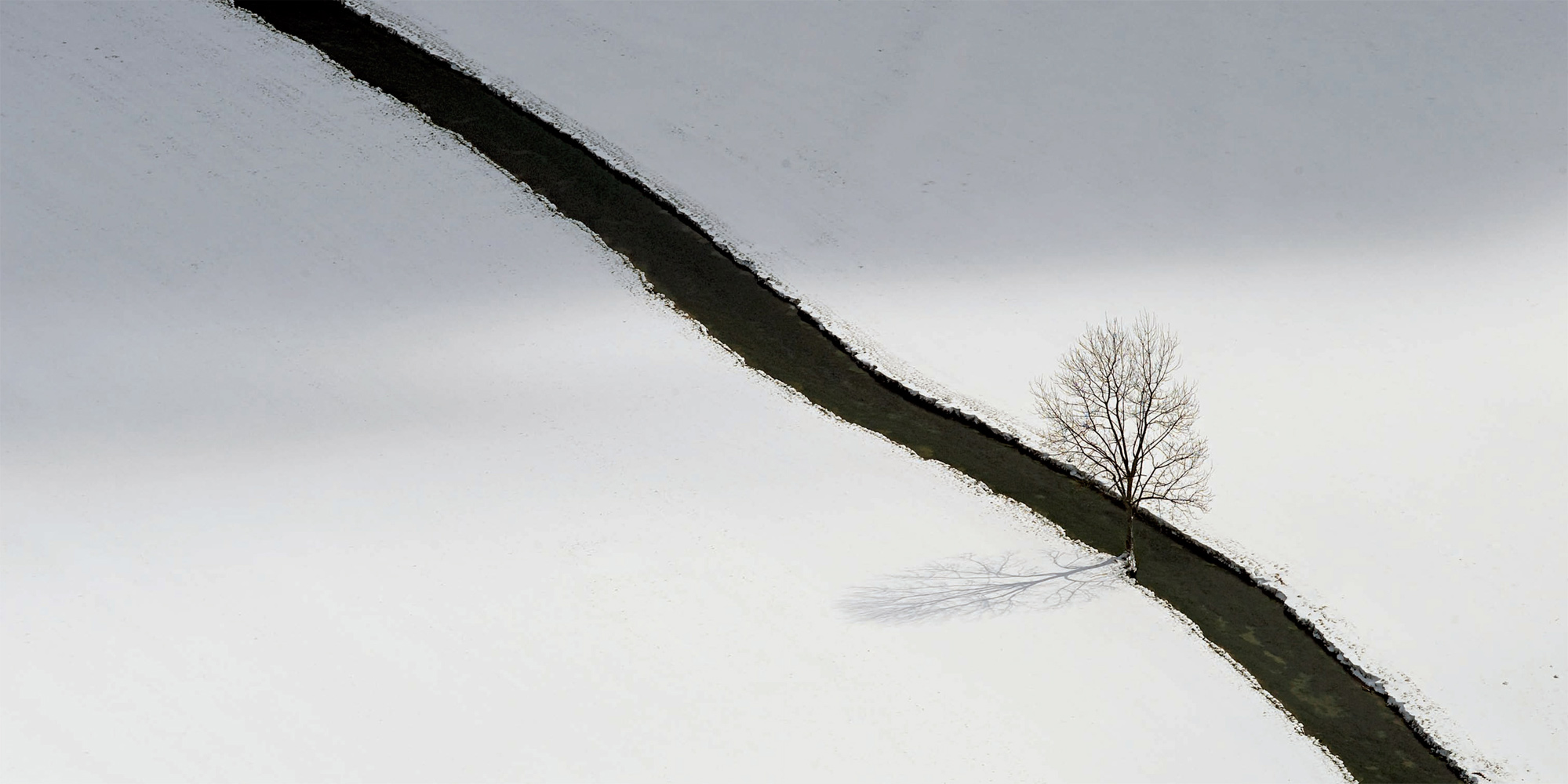 NORBERT ROSING Upper Danube River Valley Nature Park Germany The shadow of a - photo 16