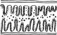 Villi with brush border and particles of food for absorption and digestion - photo 2