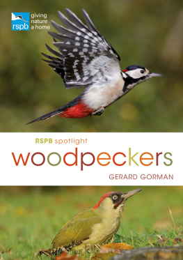 Gerard Gorman - RSPB Spotlight Woodpeckers