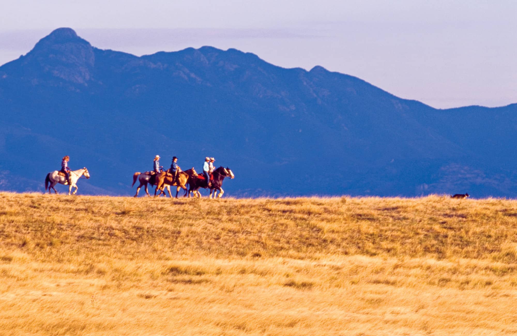 Horseback riders in the San Rafael Valley southwest of Tombstone PART I THE - photo 9