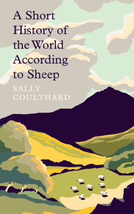 Sally Coulthard - A Short History of the World According to Sheep