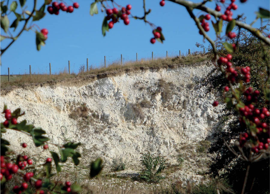 Fresh chalk shows quite white after a fall but it will soon become discoloured - photo 4