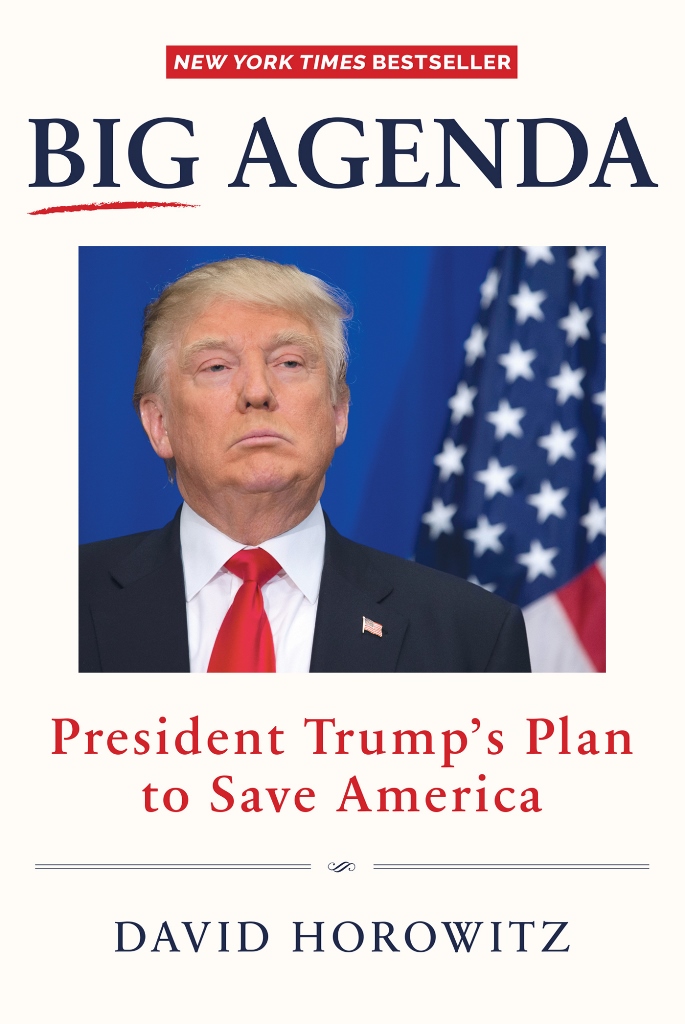 BIG AGENDA President Trumps Plan to Save America DAVID HOROWITZ - photo 1