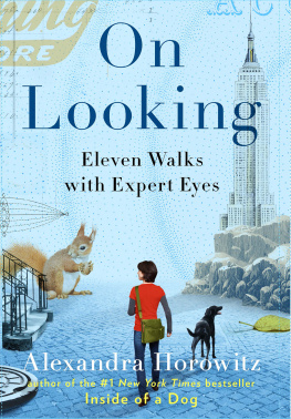 Horowitz On Looking: a Walkers Guide to the Art of Observation