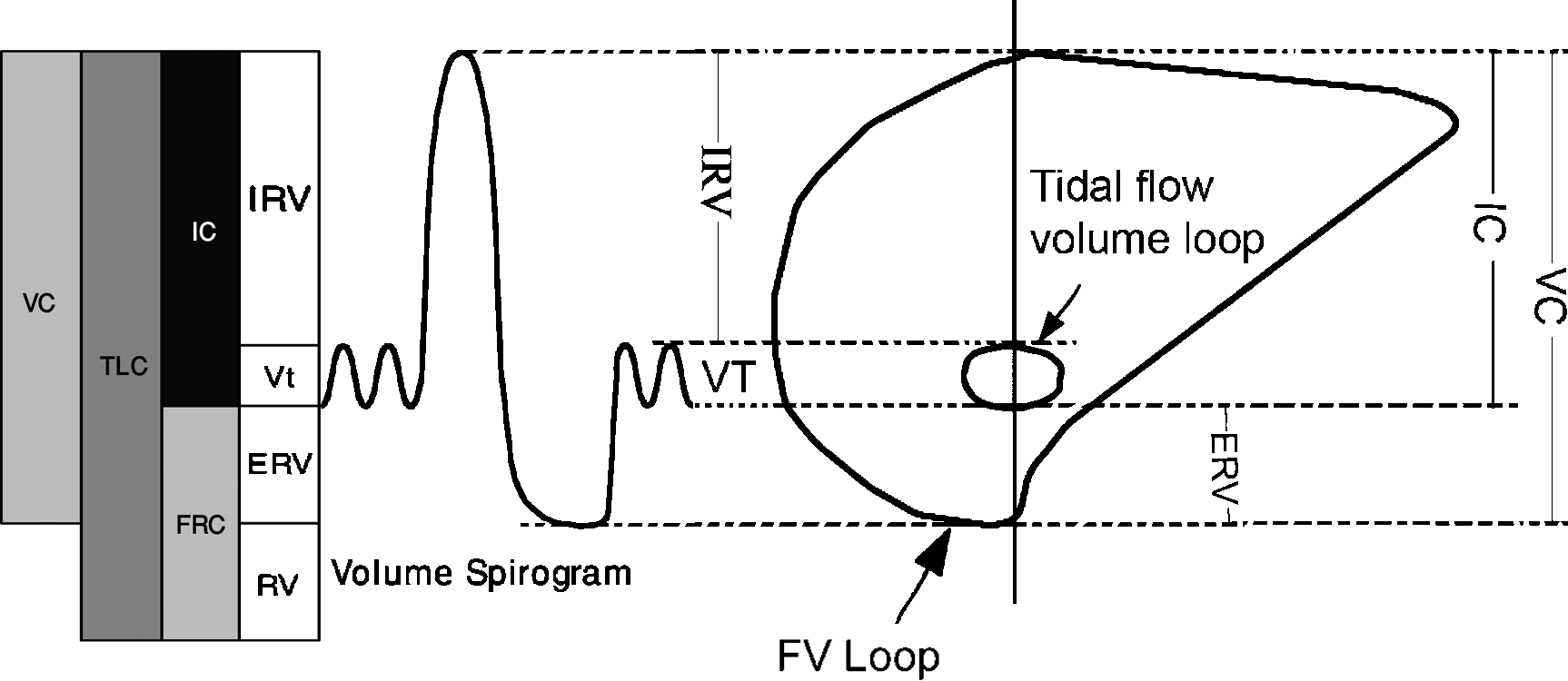 Figure 12 The - photo 2