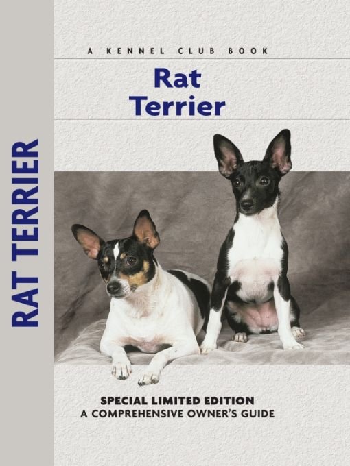 Table of Contents Physical Characteristics of the Rat Terrier from the - photo 1