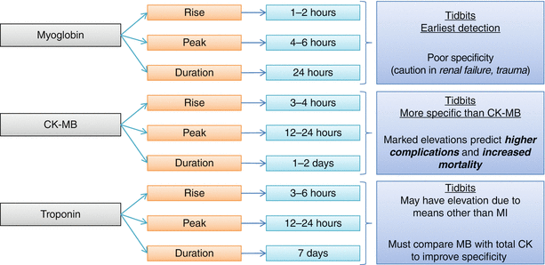 Other Reasons for Troponin Elevation Initial Therapy for ACS - photo 29