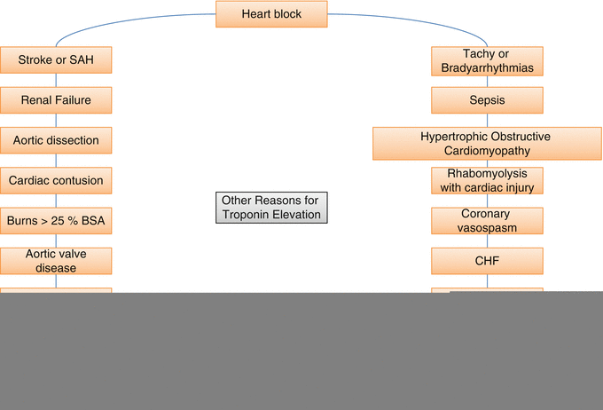 Initial Therapy for ACS Reperfusion in AMI - photo 30