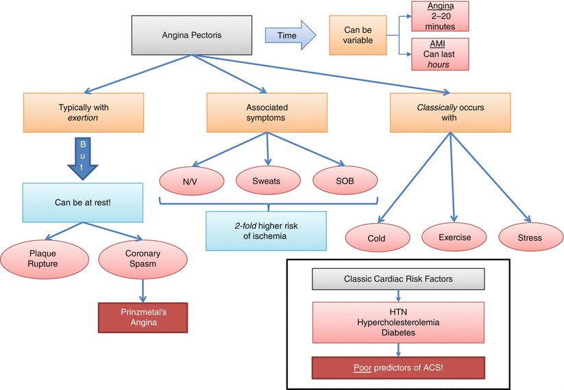 ACS Physical Exam Pathophysiology - photo 2