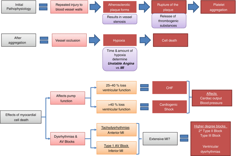 Other Causes of Acute Coronary Syndrome Cocaine and Chest Pain - photo 4