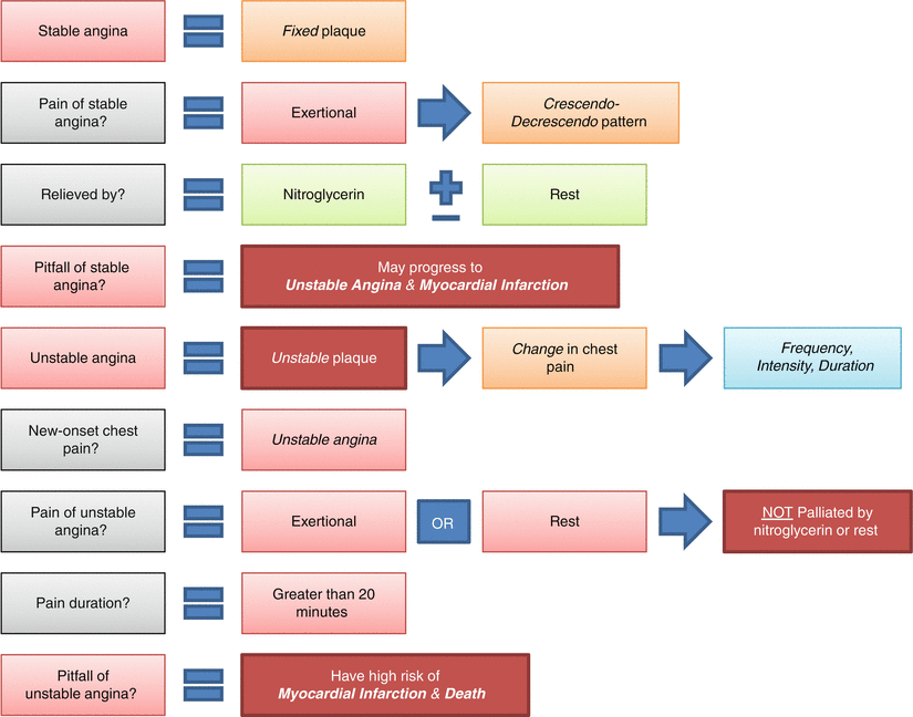 Prinzmetals or Variant Angina What Factors Predict Prinzmetals Angina - photo 8