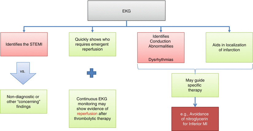The EKG in Acute Myocardial Infarction Causes of ST-Segment Elevation - photo 12