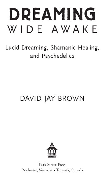 Dreaming Wide Awake Lucid Dreaming Shamanic Healing and Psychedelics - image 1