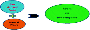 Fig 1 General scheme for the fabrication of green composite Color figure - photo 1