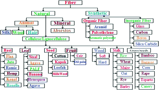 Fig 2 Broad classifications of fibers Saba et al Different types of - photo 2