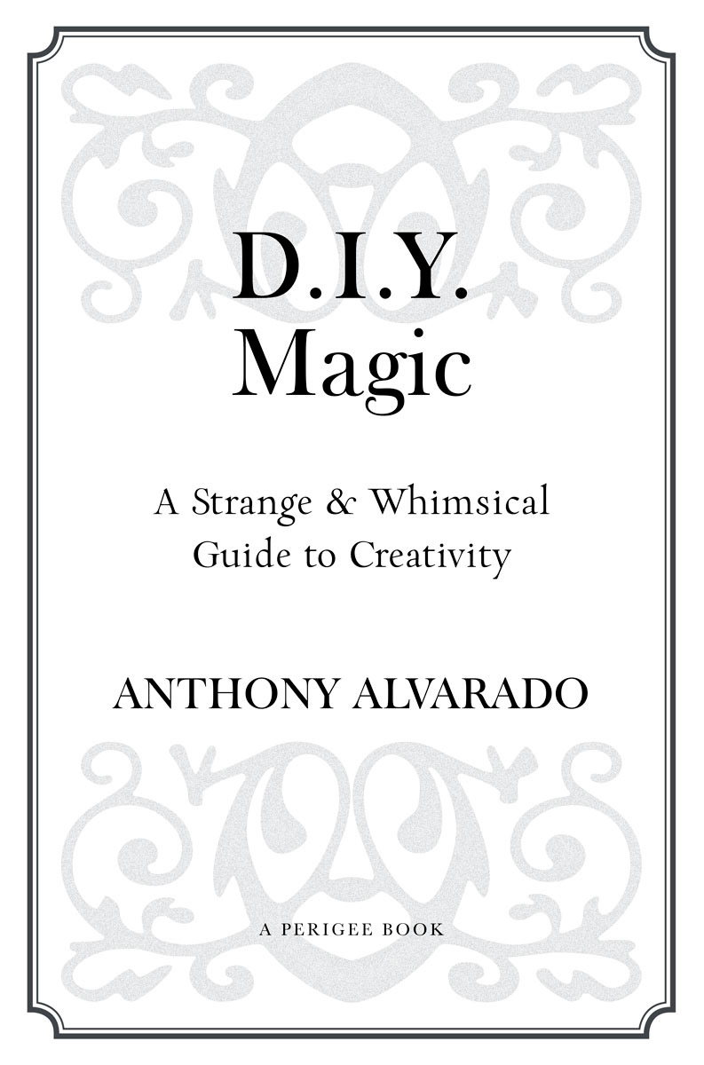 DIY magic a strange and whimsical guide to creativity - image 2