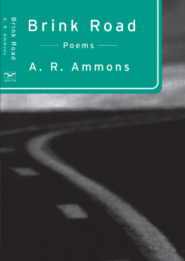 Ammons - Brink Road