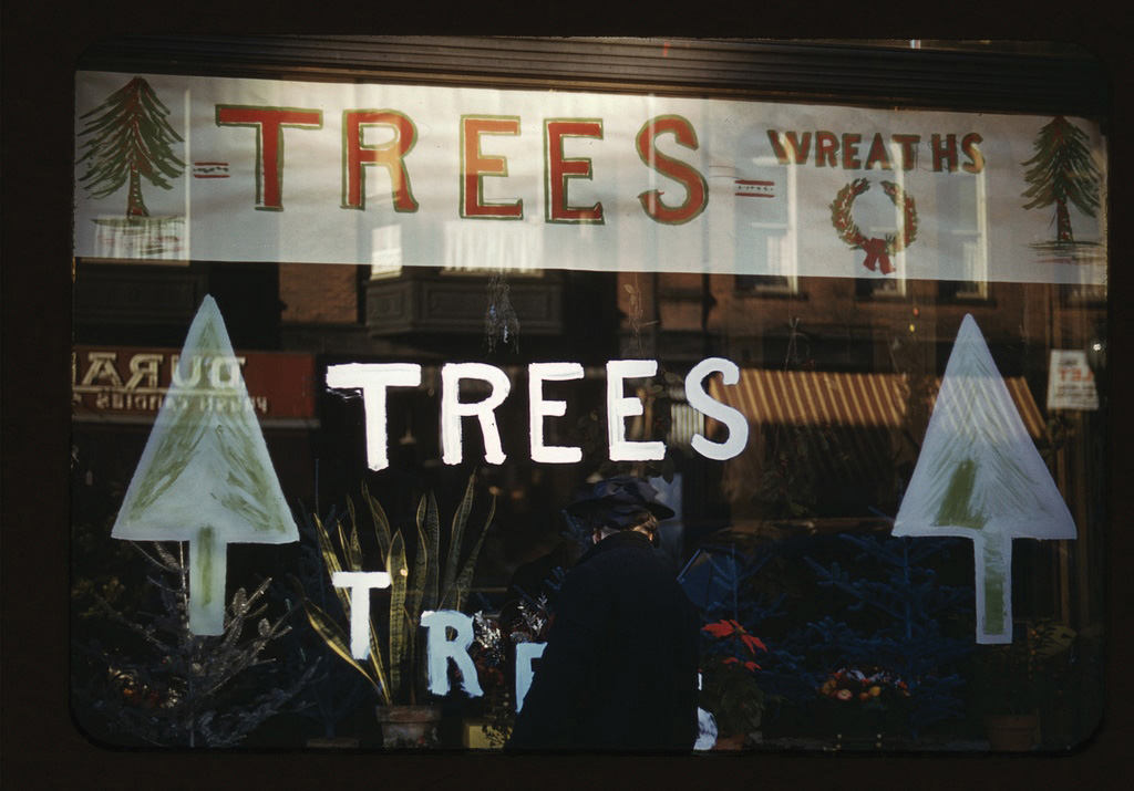 Christmas trees and wreaths in store window display 1941-42 Library of - photo 5