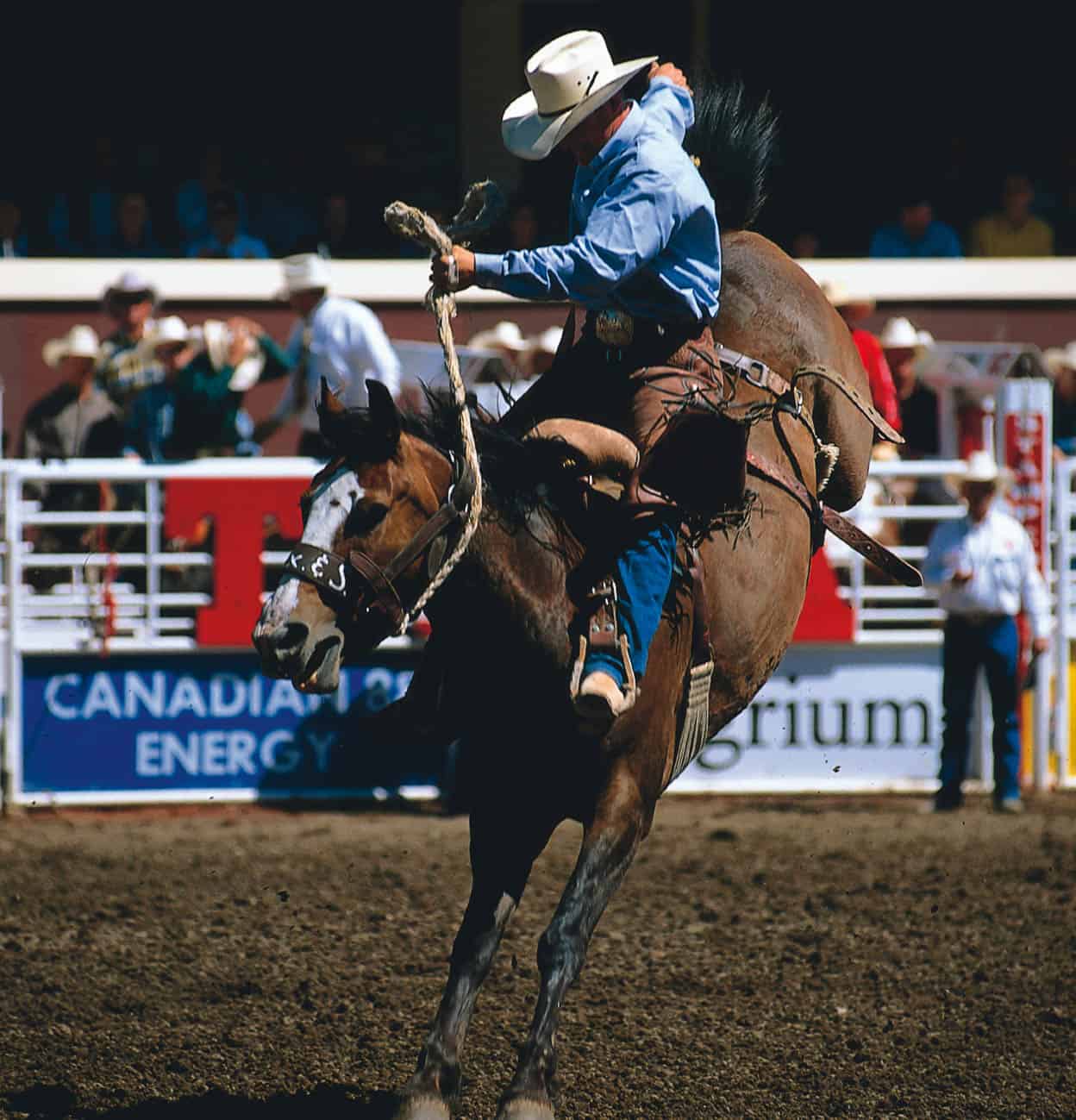 Calgary Stampede July One of the biggest rodeo events in the world with - photo 13