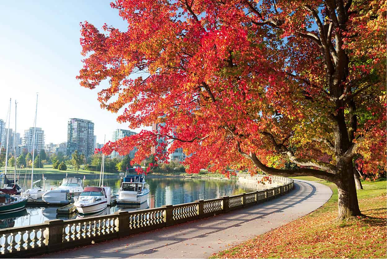 Stanley Park Vancouvers jewel a 400-hectare 1000-acre evergreen oasis - photo 12