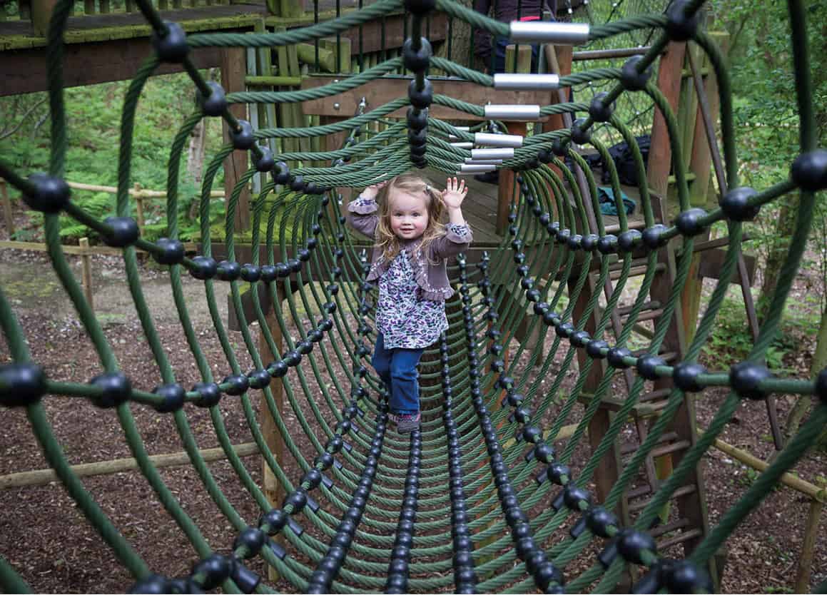 BeWILDerwood Take the kids to this magical eco-friendly playground with tree - photo 10