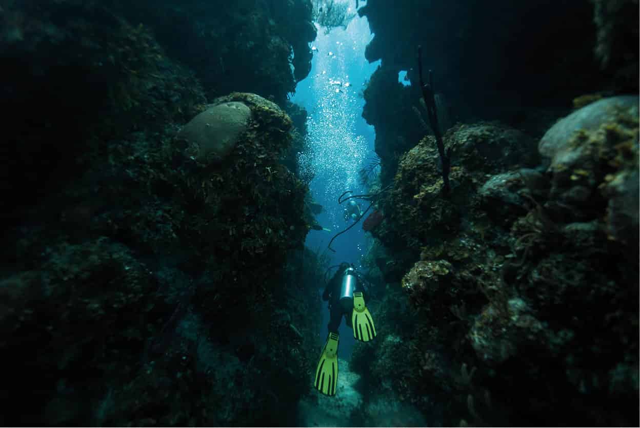 Diving in Belize Part of the Mesa American reef the worlds second largest - photo 7