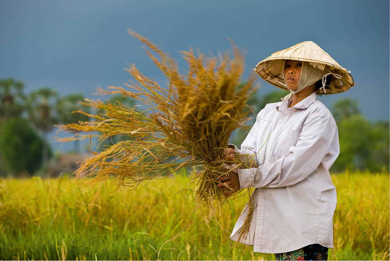 Si Phan Don These numerous Mekong islands in southern Laos make a wonderful - photo 11