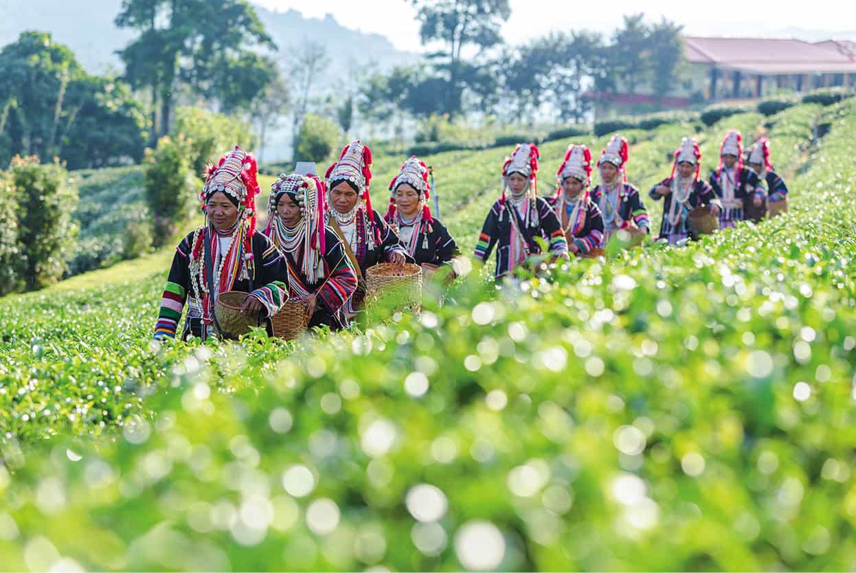 Top Attraction 8 iStock Hill tribes Trek by Jeep or on foot to see these - photo 11