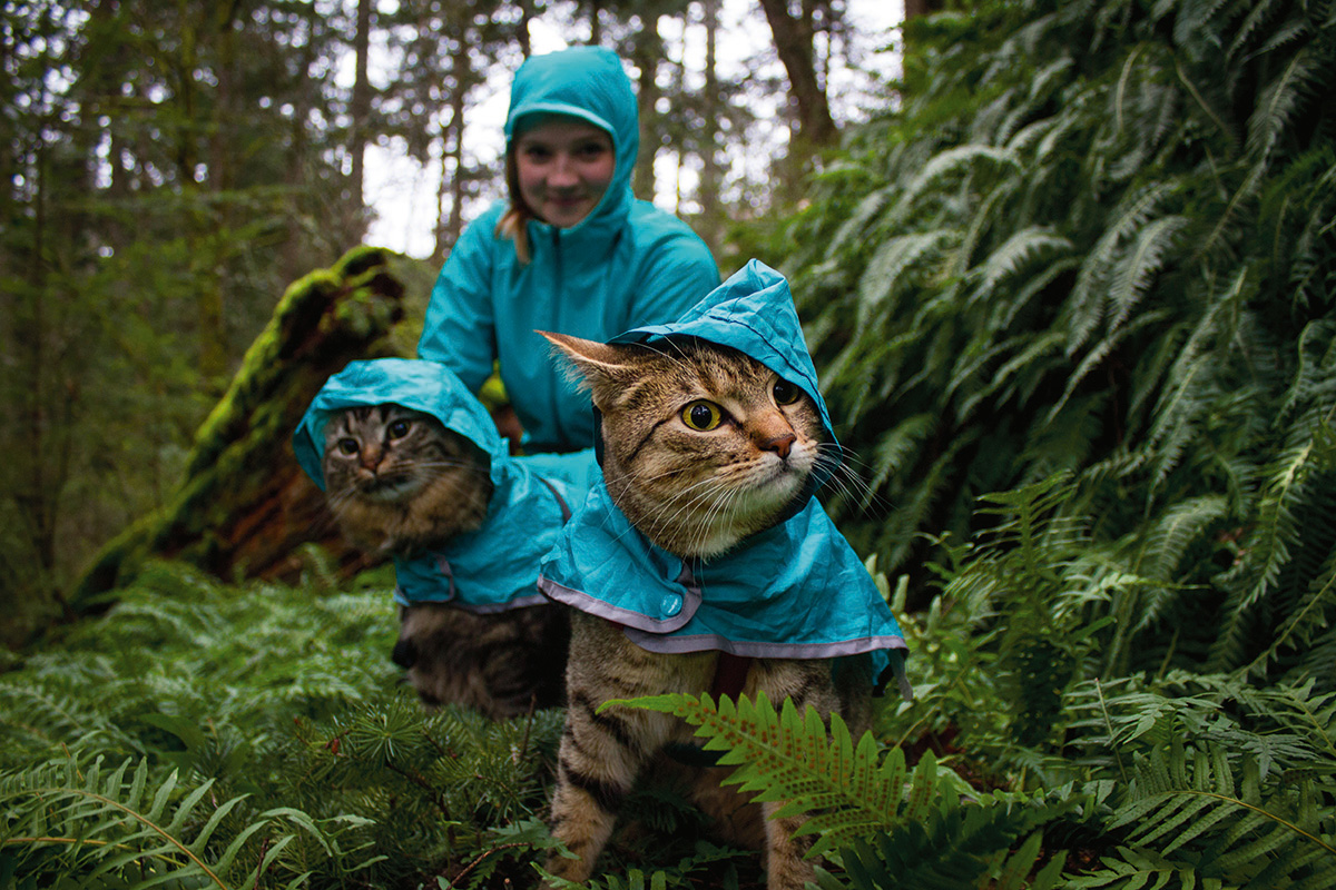 VICTORIA BC Matching jackets on point SquadGoals SALISH SEA BC Most cats - photo 11