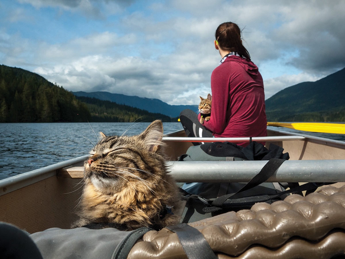 INLAND LAKE BC A sunset canoe and your best buddies what more could you - photo 21