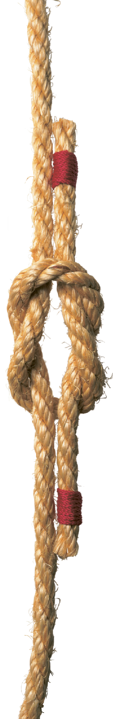 CONTENTS Figure of eight knot with draw-loop - photo 4