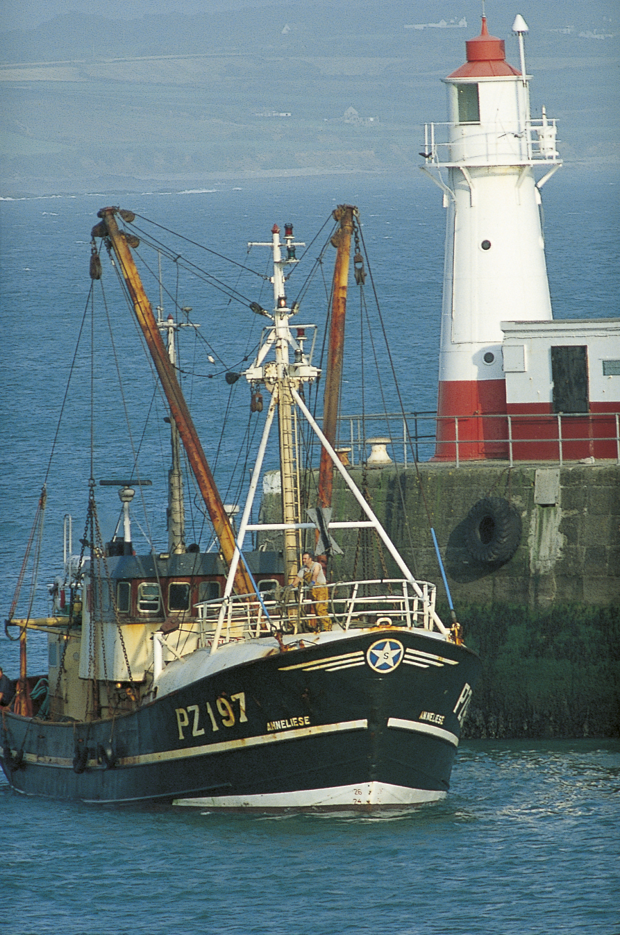 SAFELY HOME TO NEWLYN CORNWALLTHE VIEW FROM THE TOP THROUGH MISTY DAYS AND - photo 8