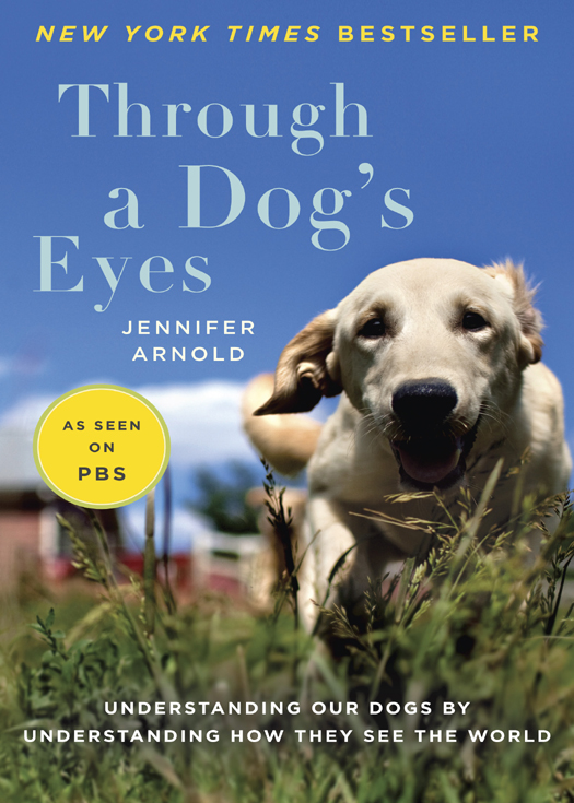 Through a Dogs Eyes - photo 1