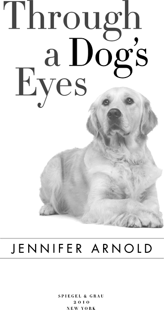 Through a Dogs Eyes - image 4