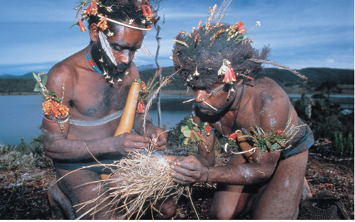 Dani tribesmen from the Baliem valley in Irian Jaya starting a fire to cook the - photo 3