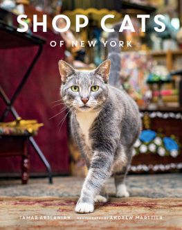 Arslanian - Shop Cats of New York