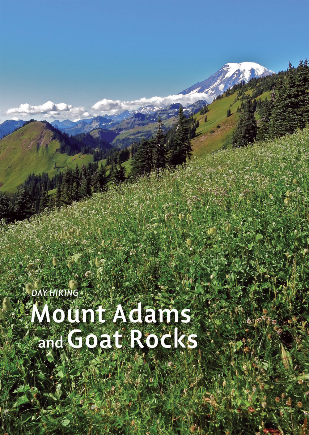 Green hillsides make a stunning foreground near Tatoosh Peak as Mount Rainier - photo 2